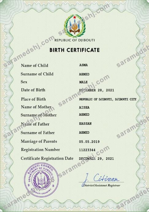 Djibouti vital record birth certificate PSD template